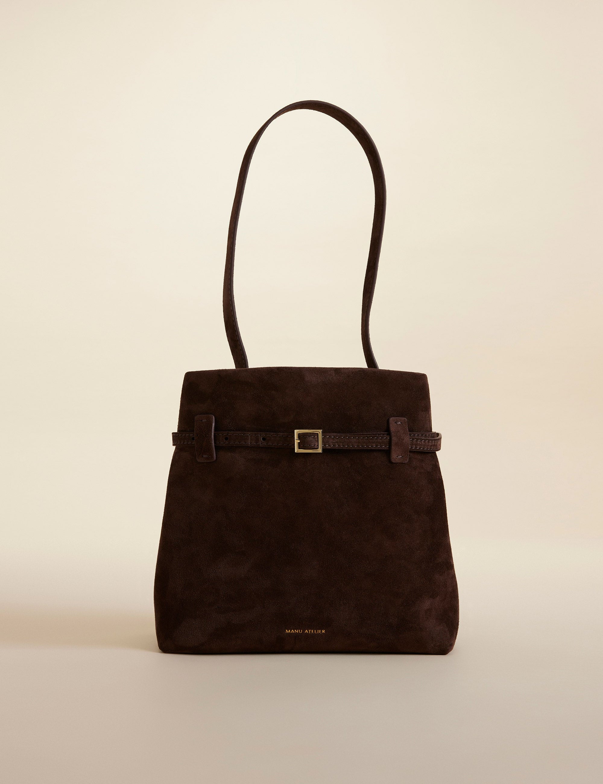 Mini Tote du Jour Deep Brown Suede 