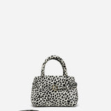 Le Cambon 20 Dalmatian